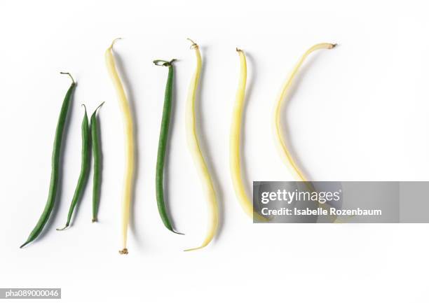 different types of string beans laid out side by side, full length - string beans stock pictures, royalty-free photos & images