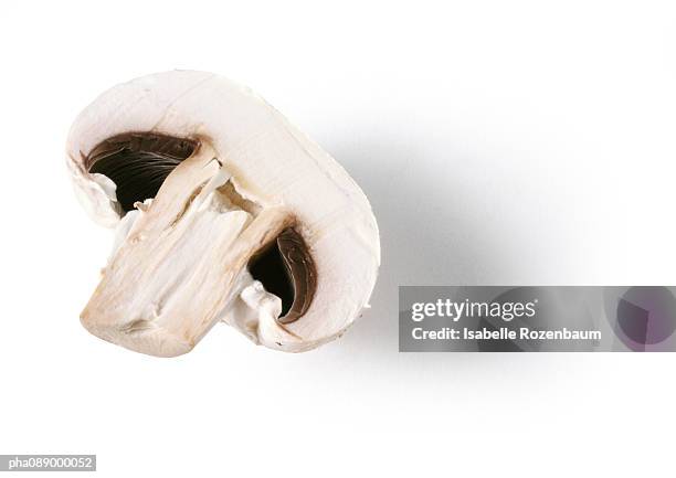 half of a mushroom, close-up - white mushroom stockfoto's en -beelden