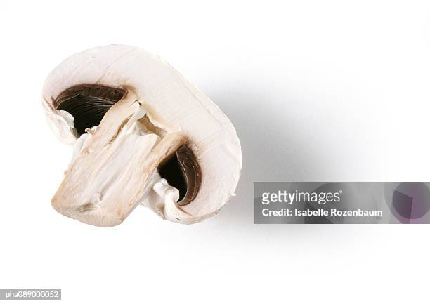 half of a mushroom, close-up - white mushroom stock pictures, royalty-free photos & images