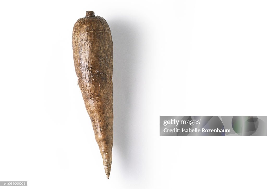 Manioc root, full length
