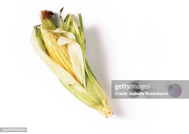 ear of corn in husk, full length - husk stock-fotos und bilder