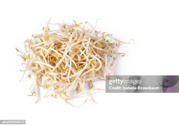 mound of bean sprouts. - sojabohnensprosse stock-fotos und bilder