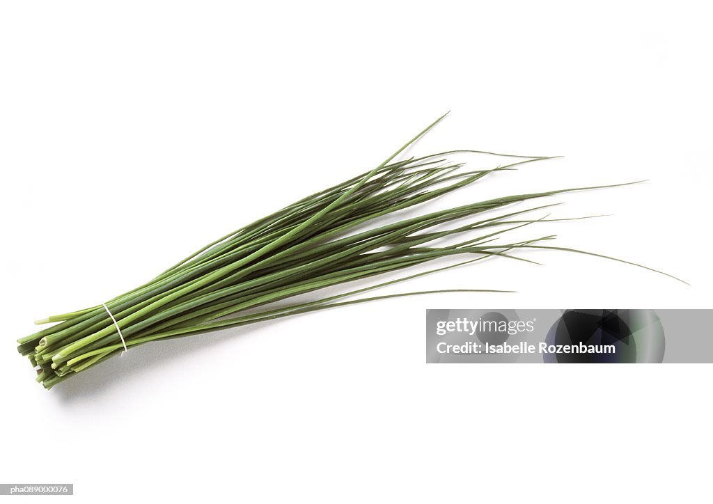 Bundle of chives, full length