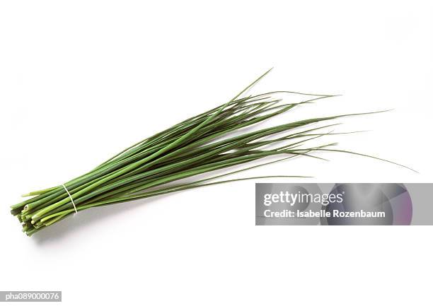 bundle of chives, full length - chive stock pictures, royalty-free photos & images