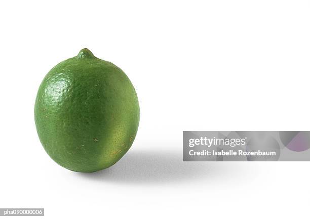 lime, white background - lime bildbanksfoton och bilder