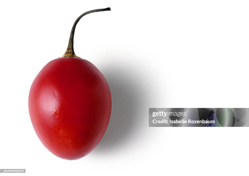 A tamarillo or tomatillo with stem, white background