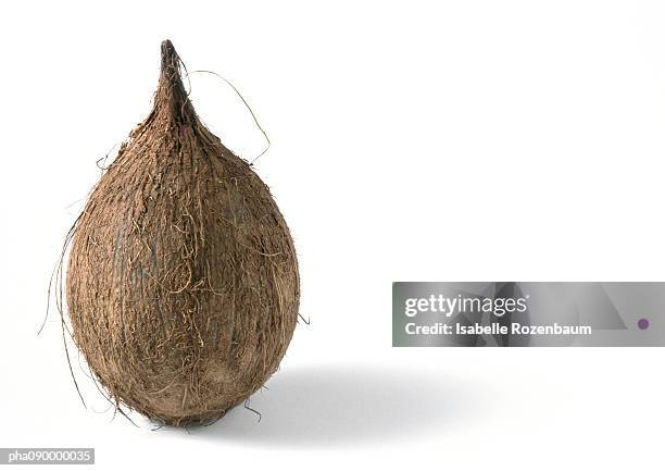 coconut, white background - coconut isolated stock-fotos und bilder