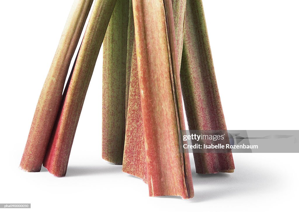 Stalks of rhubarb, cropped, white background