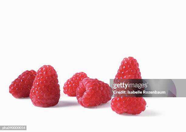 raspberries, white background - hallon bildbanksfoton och bilder