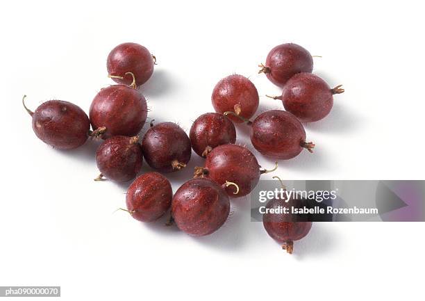 gooseberries, white background - uva spina foto e immagini stock