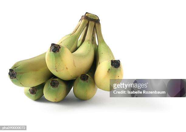 bananas or plantain, white background - or stock pictures, royalty-free photos & images