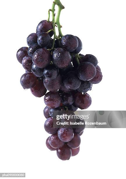 bunch of grapes, white background - grape ストックフォトと画像