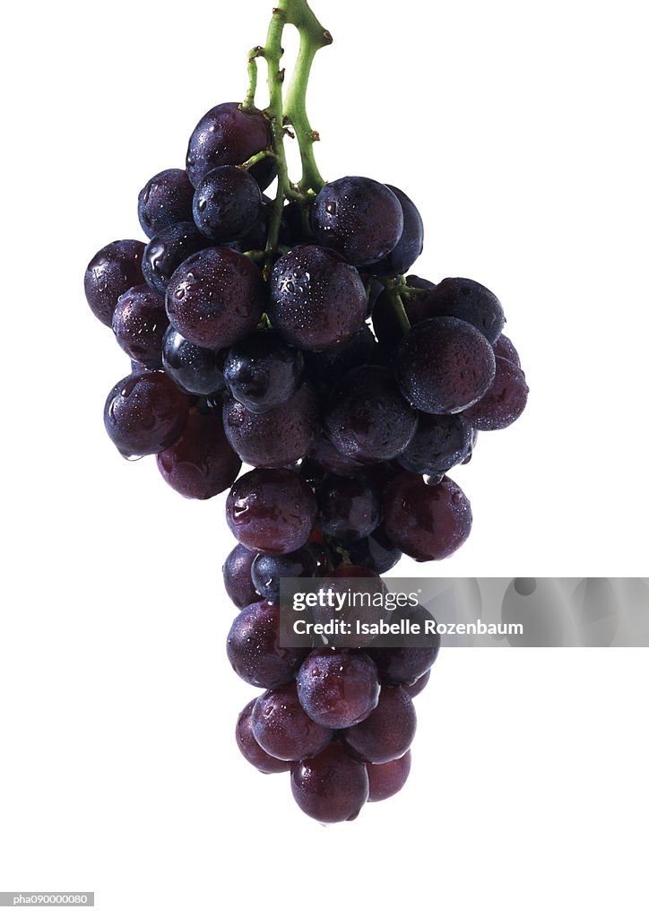 Bunch of grapes, white background