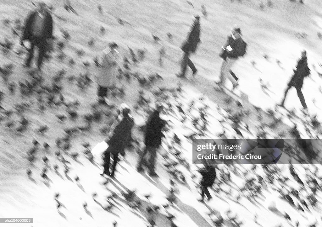 People walking in square filled with pigeons, b&w