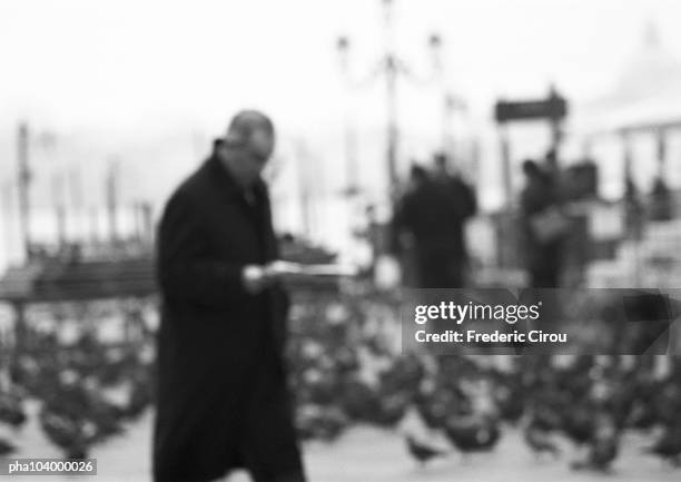 man walking, pigeons in background, blurred, b&w - birds b w fotografías e imágenes de stock