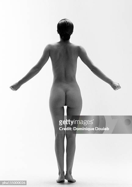 naked woman, b&w. - female backside fotografías e imágenes de stock