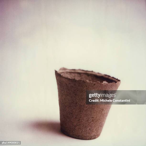 plant pot. - pot plant stock pictures, royalty-free photos & images