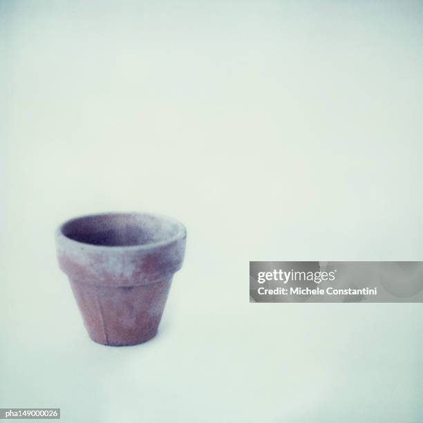 plant pot. - pot plant stock pictures, royalty-free photos & images