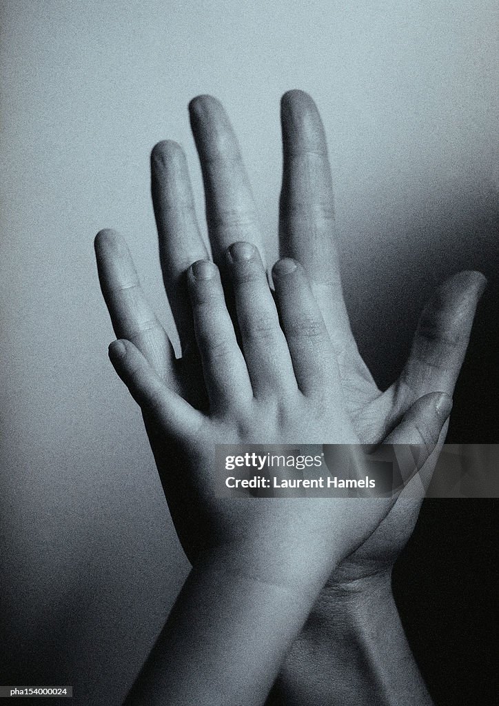 Child's hand against man's hand, palm to palm, close-up, b&w.