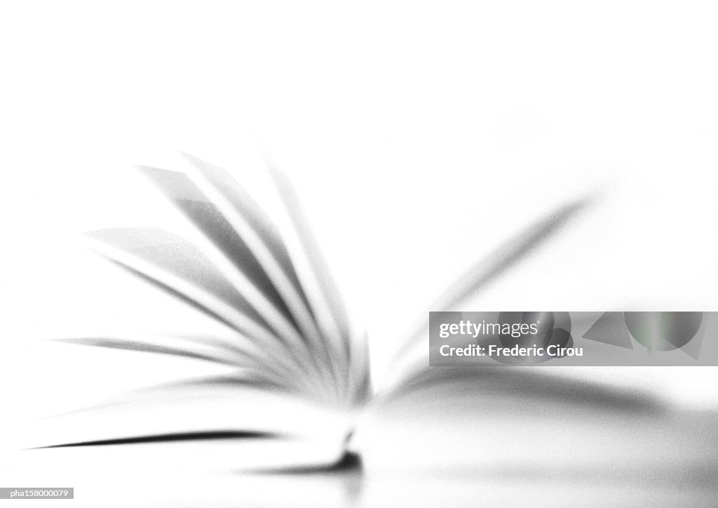Open book, blurred, b&w.