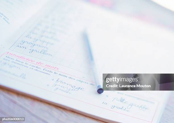 school book and ballpoint pen. - intersected stock pictures, royalty-free photos & images