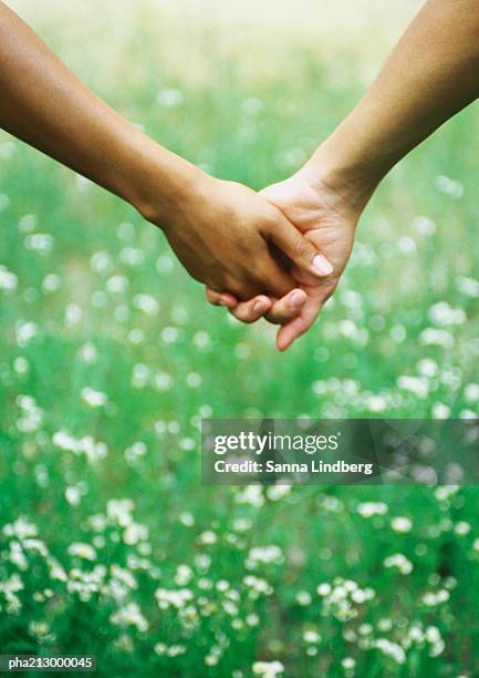 portrait of holding hands - flora condition stock pictures, royalty-free photos & images