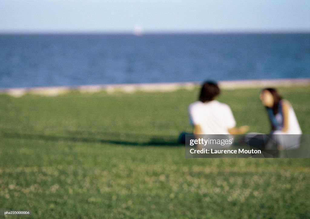 Man and woman sitting in grass by ocean, blurred.