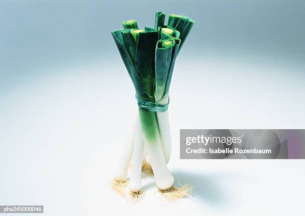 leeks, close-up - poireau photos et images de collection