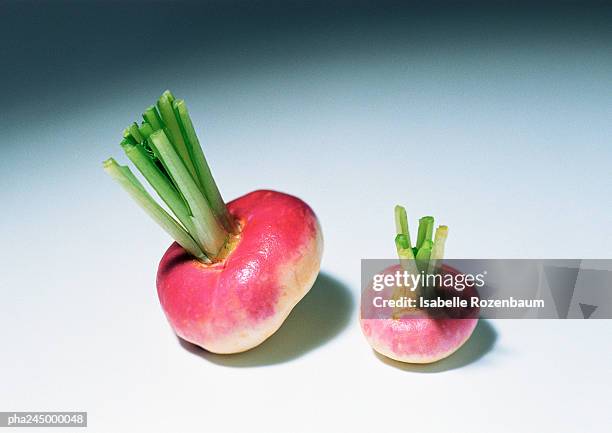 turnips, close-up - turnip stock pictures, royalty-free photos & images