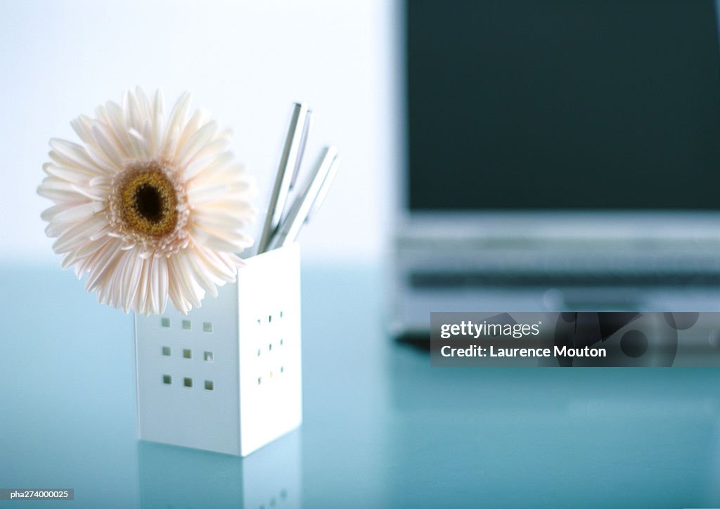 Flower in penholder