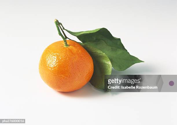 clementine - tangerine stock pictures, royalty-free photos & images