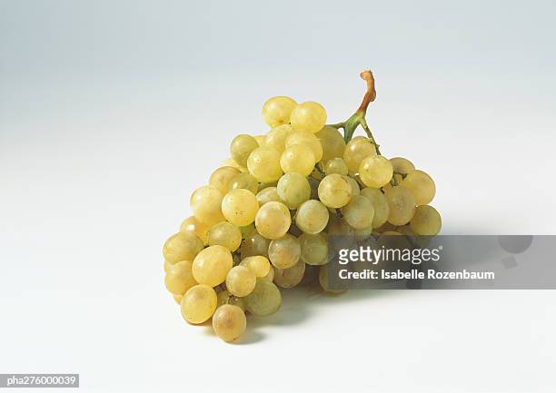 bunch of green grapes - bund stock-fotos und bilder