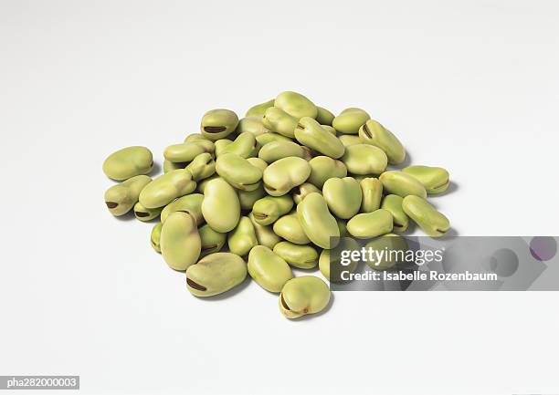 pile of dried broad beans - fava bean stock pictures, royalty-free photos & images