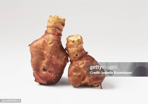 jerusalem artichokes - jerusalem artichoke stock pictures, royalty-free photos & images