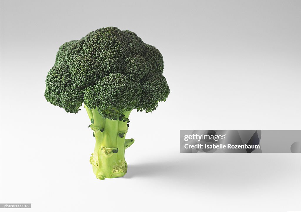 Broccoli