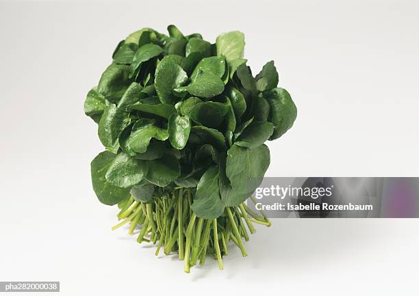 bunch of watercress - watercress stock pictures, royalty-free photos & images