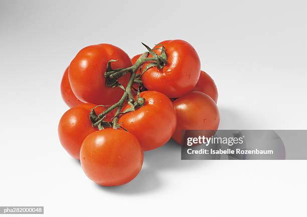 vine tomatoes - pluim stockfoto's en -beelden