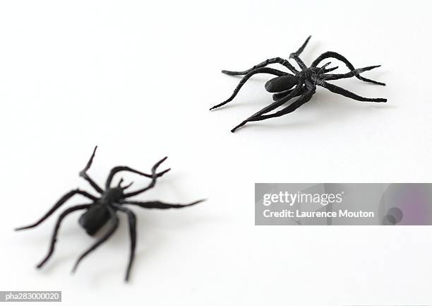 plastic spiders - arachnid stockfoto's en -beelden