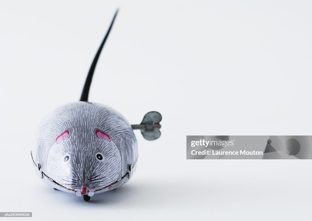 Wind-up mouse