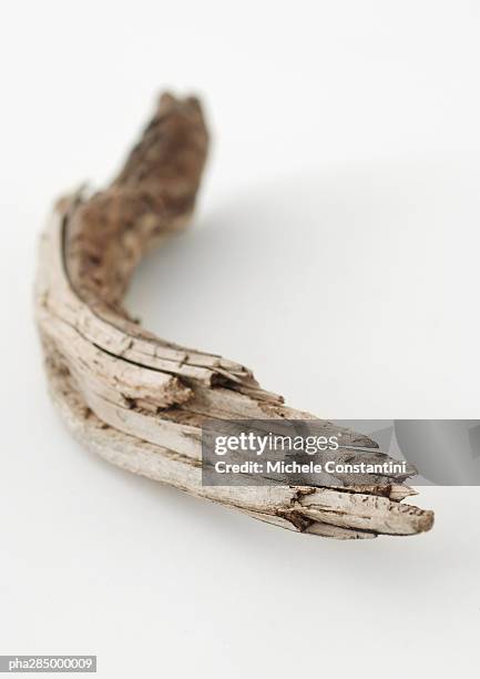 driftwood, close-up - drijfhout stockfoto's en -beelden