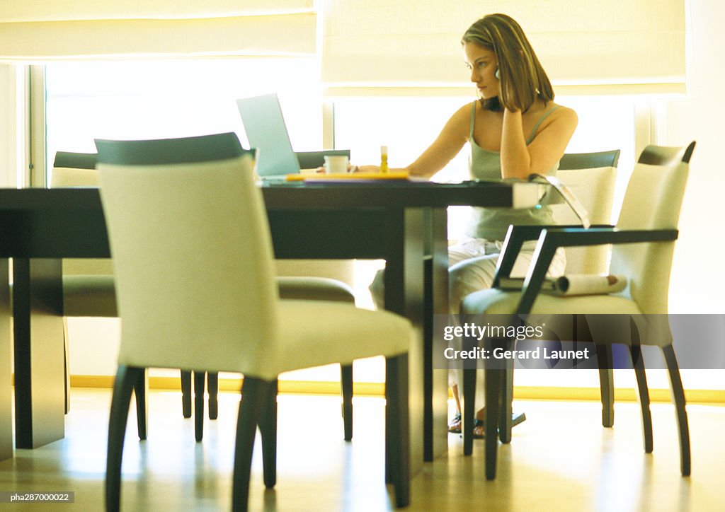 Female telecommuter working at table