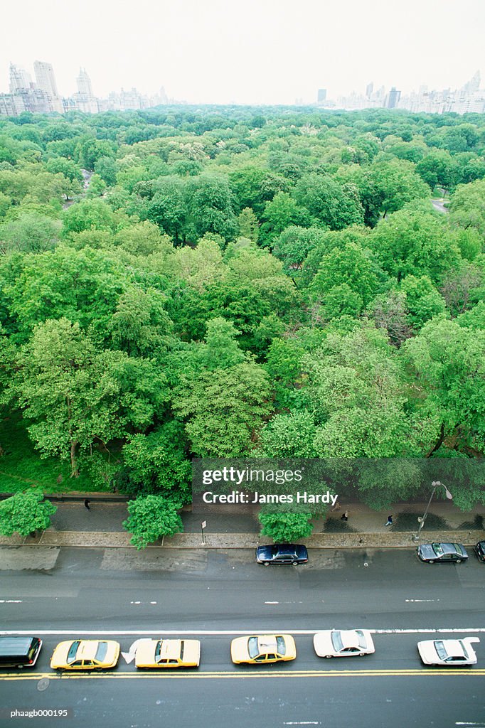 New York, Manhattan, taxis parked next to Central Park, high angle view