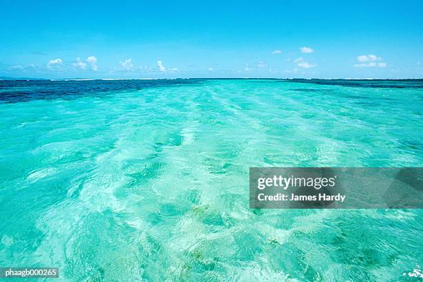 west indies, martinique, josephine's bath - lesser antilles foto e immagini stock