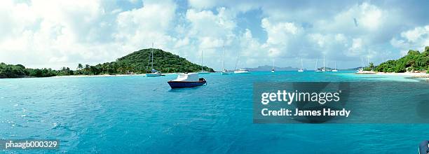 west indies, grenadines, tobago cays - tobago cays stock pictures, royalty-free photos & images