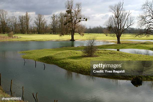 france, jura, riverscape - watercourse stock pictures, royalty-free photos & images