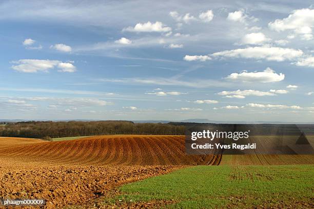 france, jura, field in rolling landscape - yves stock pictures, royalty-free photos & images