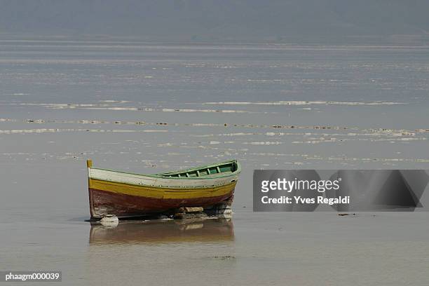 tunisia, chott el jerid, rowboat on dry lakebed - esel fotografías e imágenes de stock