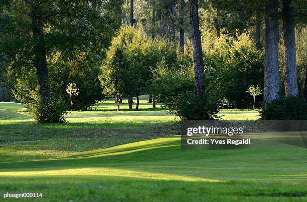 grassy lawn and trees - yves stock pictures, royalty-free photos & images