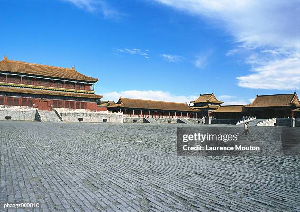 china, the forbidden city - forbidden city imagens e fotografias de stock