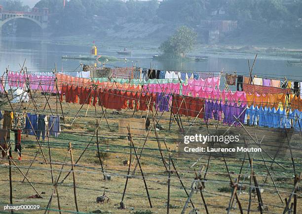 india, uttar pradesh, laundry hanging on clothes-lines - mouton stock pictures, royalty-free photos & images